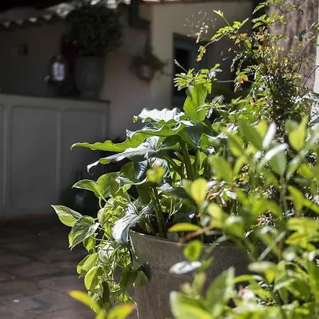 Unic Views Begur, Turistico Semesterbostad *