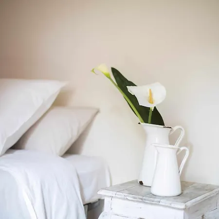 Unic Views Begur, Turistico Semesterbostad Begur