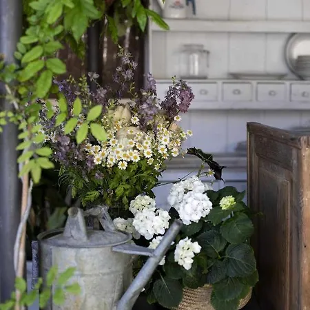 Unic Views Begur, Turistico *